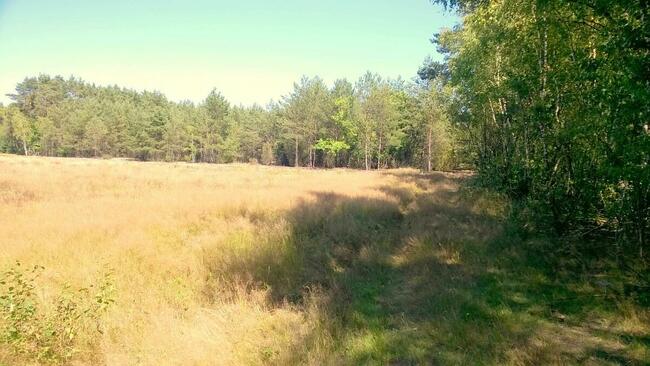 Działki pod zabudowę jednorodzinną, Kwilno gmina Zgierz