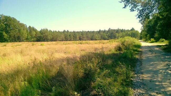 Działki pod zabudowę jednorodzinną, Kwilno gmina Zgierz