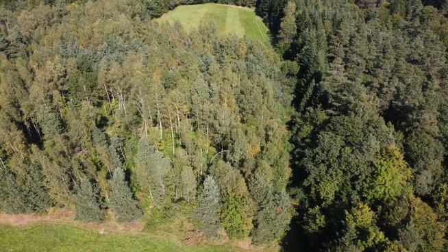 Na sprzedaż las 1,082 ha Berezka, gmina Solina