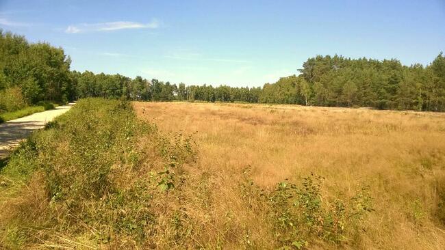 Działki pod zabudowę jednorodzinną, Kwilno gmina Zgierz
