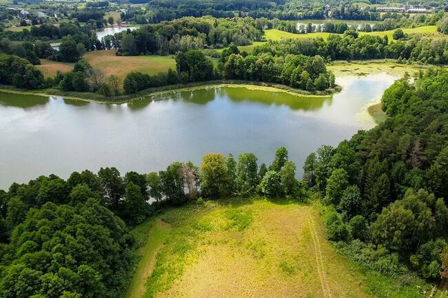 Działki w otoczeniu lasu oraz z dostępem do jeziora