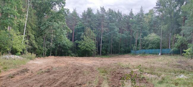 Działka budowlana z WZ pośród lasu Kieźliny k/Olsztyna