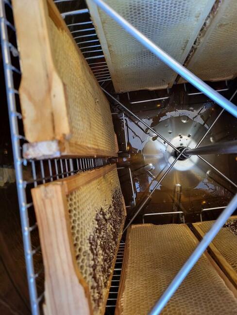 Miód jeżynowo-akacjowy, wielokwiatowy, spadziowo-lipowy