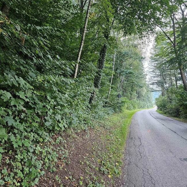 Działka budowlana- Czułów- 7,25 ar