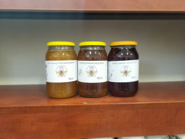 Miód jeżynowo-akacjowy, wielokwiatowy, spadziowo-lipowy