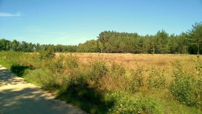 Działki pod zabudowę jednorodzinną, Kwilno gmina Zgierz