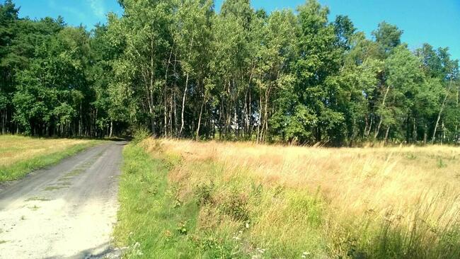 Działki pod zabudowę jednorodzinną, Kwilno gmina Zgierz