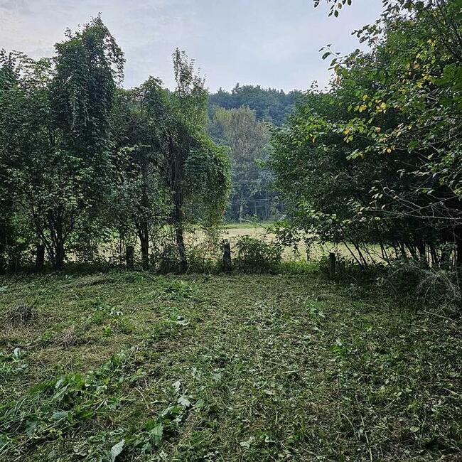 Działka budowlana- Czułów- 7,25 ar