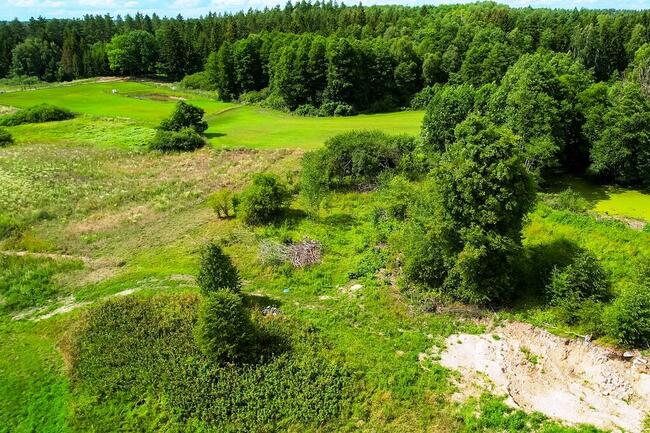 Działki w otoczeniu lasu oraz z dostępem do jeziora