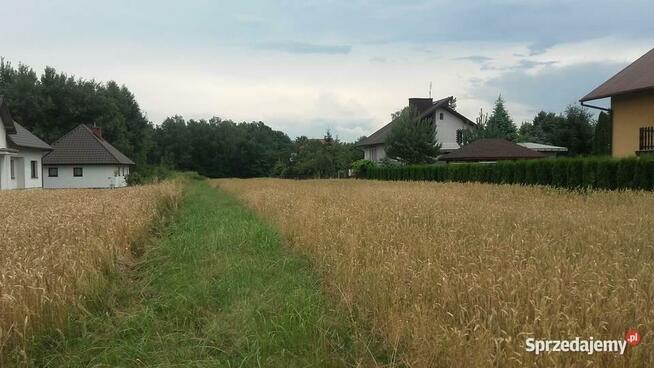 Działka Pilzno 10ar, 38 ar +proj. domu ul. Węgierska