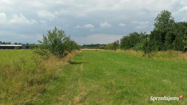 Działka +proj.domu. Pilzno 9ar, 34ar ul.Kś.Ściegiennego