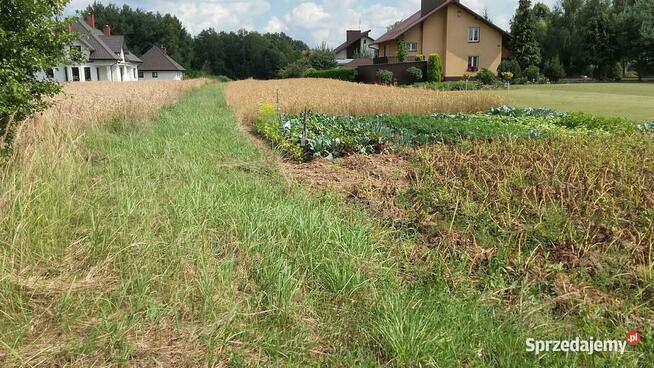 Działka Pilzno 10ar, 38 ar +proj. domu ul. Węgierska