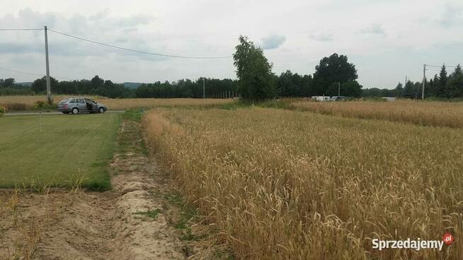 Działka Pilzno 10ar, 38 ar +proj. domu ul. Węgierska