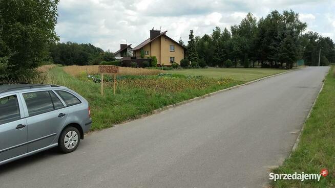 Działka Pilzno 10ar, 38 ar +proj. domu ul. Węgierska