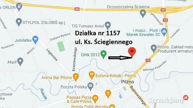 Działka +proj.domu. Pilzno 9ar, 34ar ul.Kś.Ściegiennego