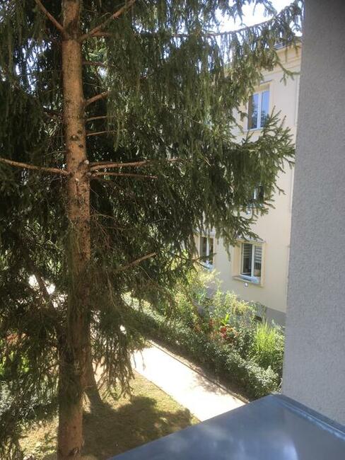 Wynajmę komfortowe mieszkanie dwa pokoje na I p.