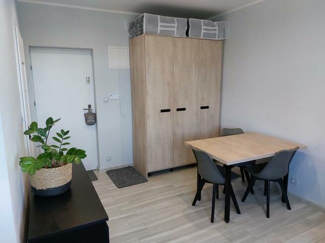 Mieszkanie do wynajęcia