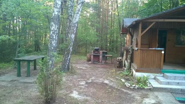 Drewniany domek na działce 1129 m, Sokolniki Las + 3km