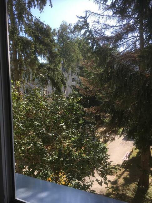 Wynajmę komfortowe mieszkanie dwa pokoje na I p.