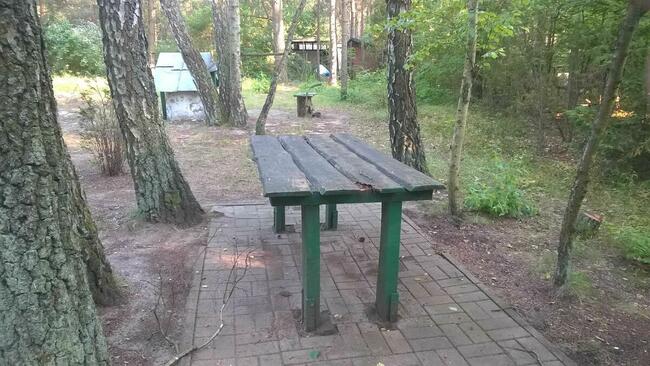 Drewniany domek na działce 1129 m, Sokolniki Las + 3km