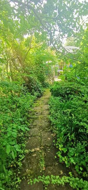 Sprzedam działka ROD Koszalin ul. Gnieźnieńska / Połczyńska