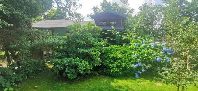 Sprzedam działka ROD Koszalin ul. Gnieźnieńska / Połczyńska