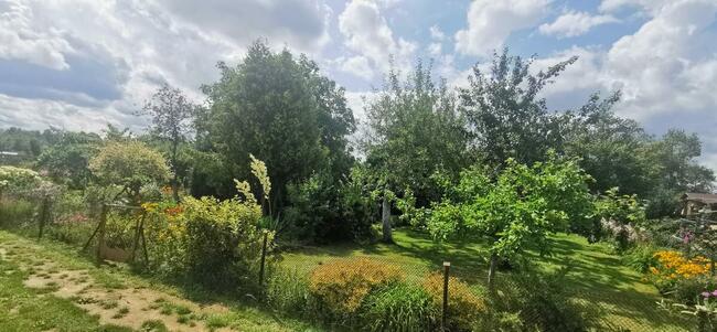 Sprzedam działkę ROD Koszalin ul. Gnieźnieńska/Połczyńska