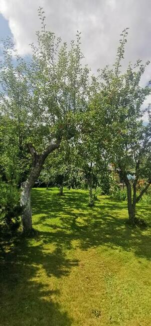 Sprzedam działka ROD Koszalin ul. Gnieźnieńska / Połczyńska