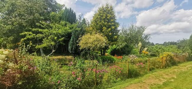 Sprzedam działka ROD Koszalin ul. Gnieźnieńska / Połczyńska