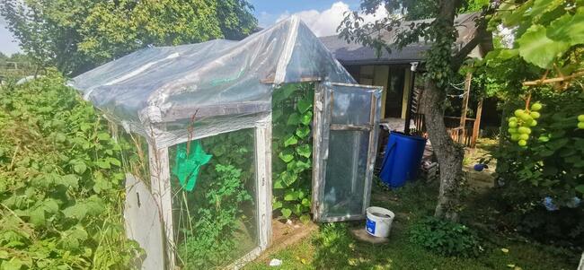 Sprzedam działka ROD Koszalin ul. Gnieźnieńska / Połczyńska