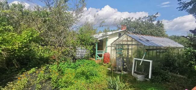 Sprzedam działkę ROD Koszalin ul. Gnieźnieńska/Połczyńska