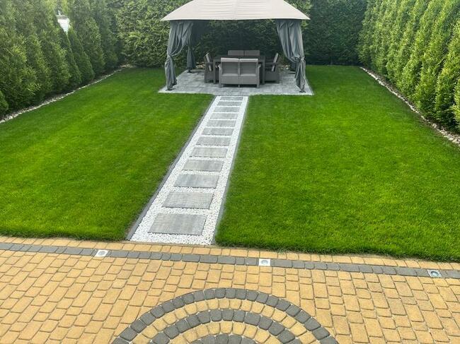 Usługi ogrodnicze Tech Garden przycinanie cięcie Thui (Tui)