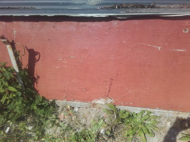 Sprzedam blaty i rusztowania warszawskie.