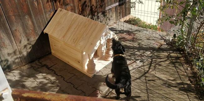 Buda ocieplona dla psa rozm M .Wysyłka 50zł