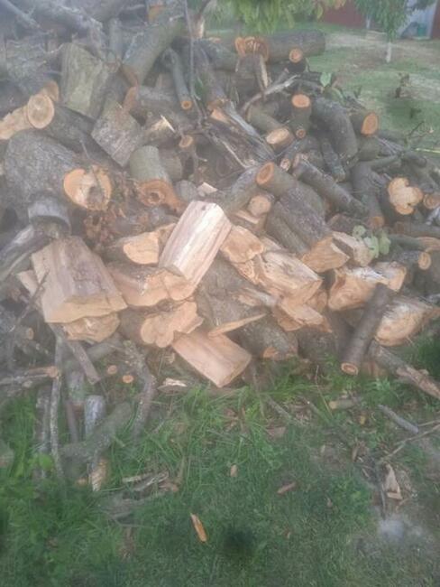 Drewno opałowe