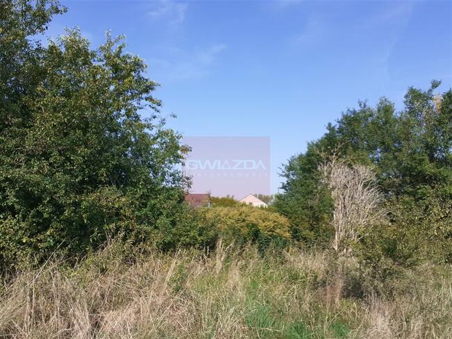 Działka Kobyla Góra