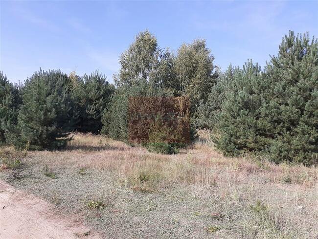 Działka Kobyla Góra