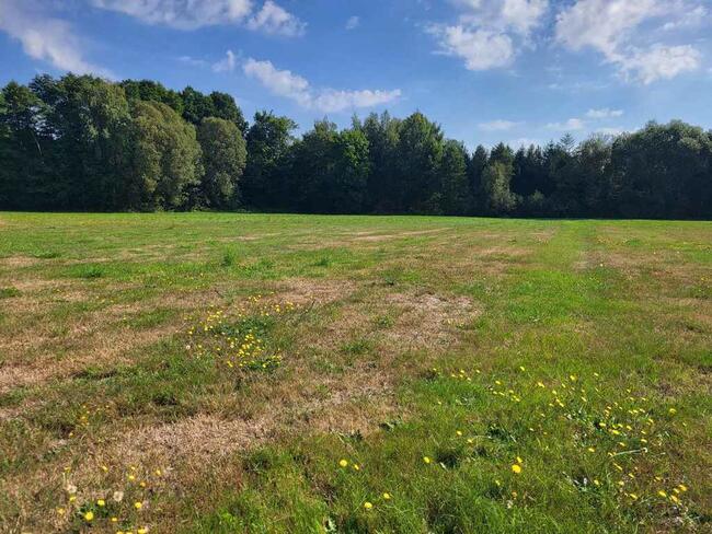 Działka Zbuczyn - ul. Jasna, 1016m2