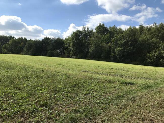 Działka rolna Kraków, Powstania Styczniowego