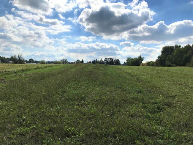 Działka rolna Kraków, Powstania Styczniowego