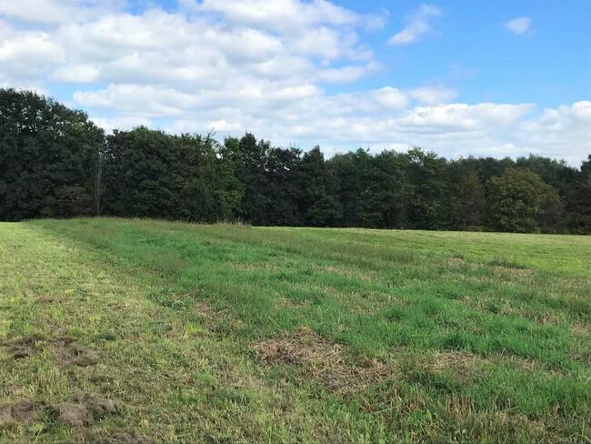 Działka rolna Kraków, Powstania Styczniowego