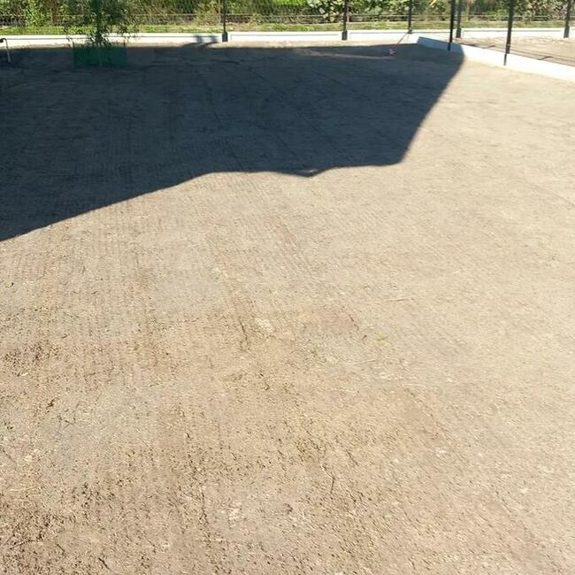 Usługi siewnikiem mechanicznym, siew mechaniczny trawnika