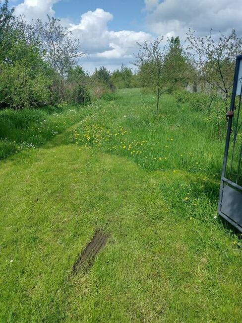 Działka budowlana z małym domkiem 61 ar Dionizów