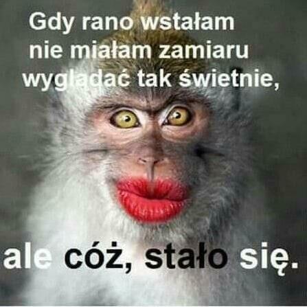 ...żeby nonsens nie przysłonił sensu...