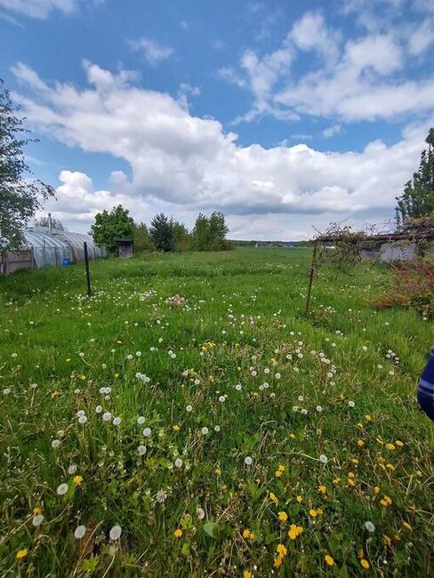 Działka budowlana z małym domkiem 61 ar Dionizów
