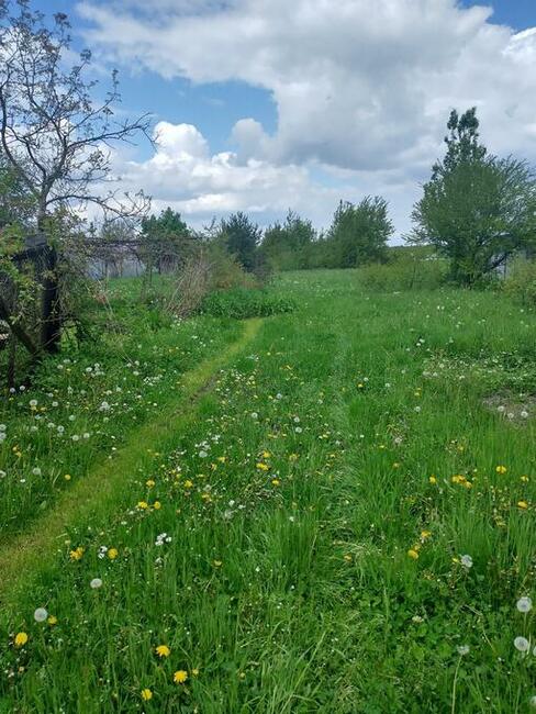 Działka budowlana z małym domkiem 61 ar Dionizów