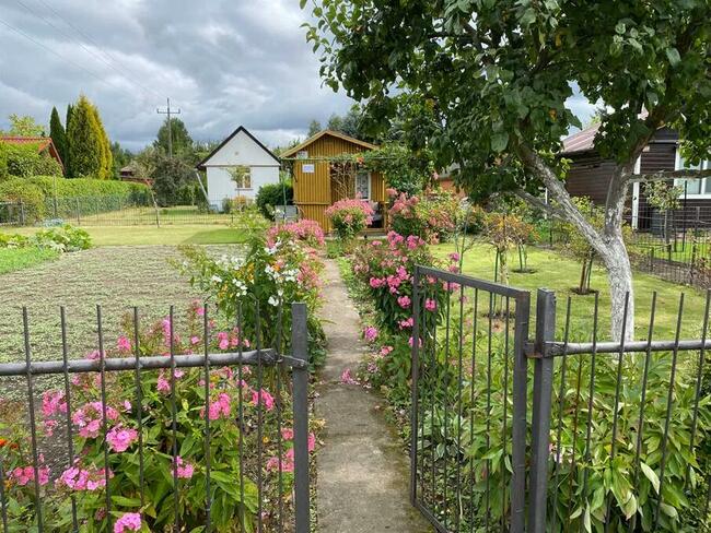 Działka rekreacyjna ROD im. 27 Lipca Białystok przy 42 Pułku