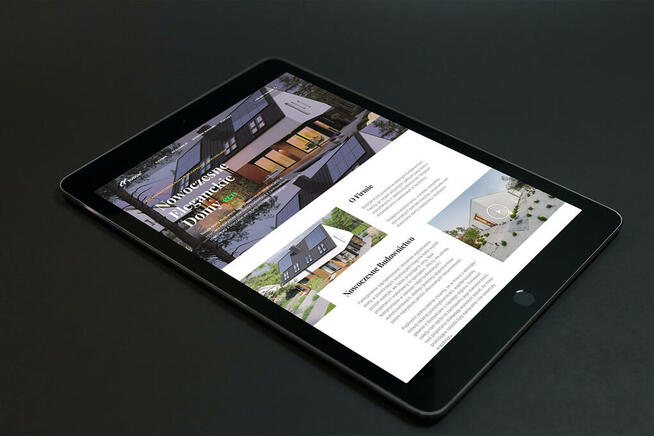 Strona internetowa WordPress Profesjonalne Strony WWW