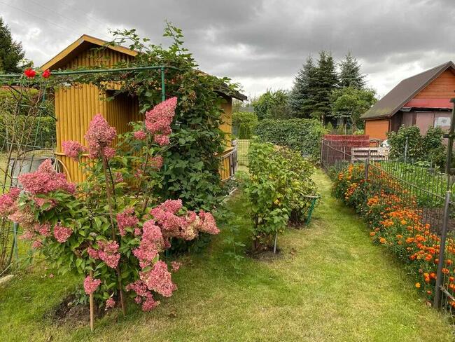 Działka rekreacyjna ROD im. 27 Lipca Białystok przy 42 Pułku