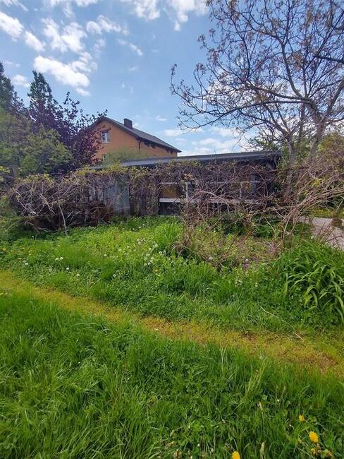 Działka budowlana z małym domkiem 61 ar Dionizów